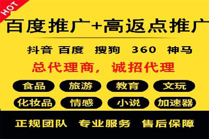百度推广运营实战：成功案例解析